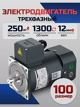 Электродвигатель трёхфазный 100YS250WDY38/22H 250 Вт 1300 об/мин 380/220 В