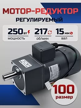 Регулируемый мотор-редуктор 100YT250WGV22H/100GF6H 250 Вт 217 об/мин 220 В