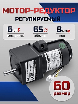 Регулируемый мотор-редуктор 60YT06WGV22X/60GK20H 6 Вт 65 об/мин 220 В